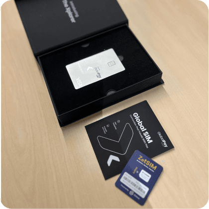 Travel and roaming data